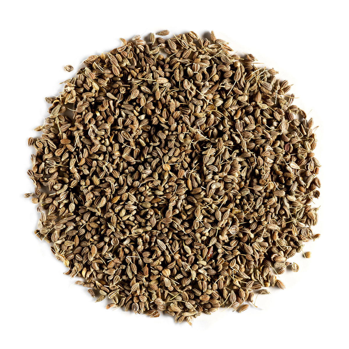 Anise Seed 100g