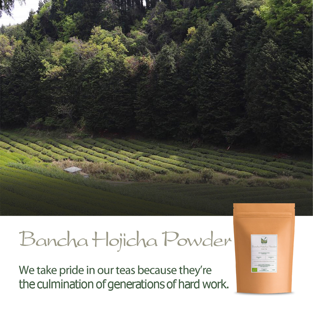 Bancha Hojicha Powder 50g