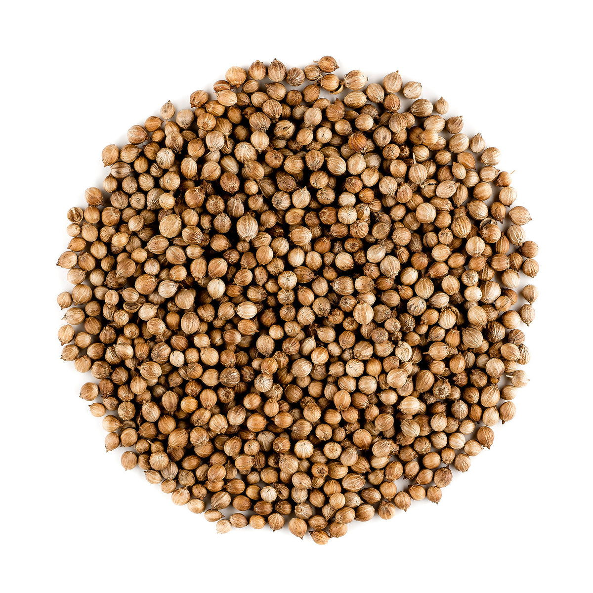 Coriander Seed 200g