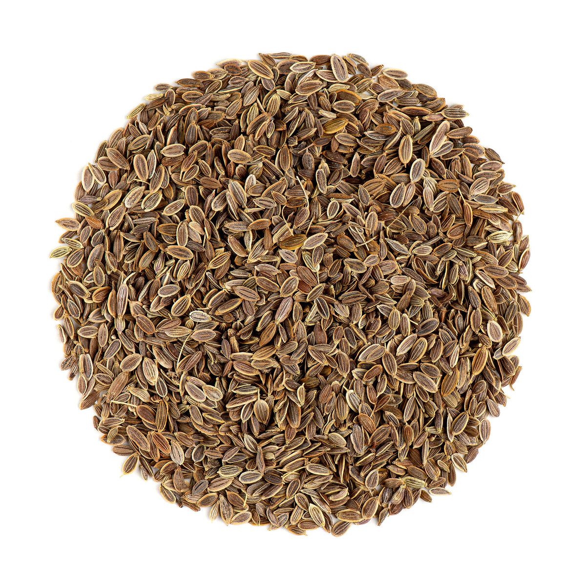 Dill Seed 200g