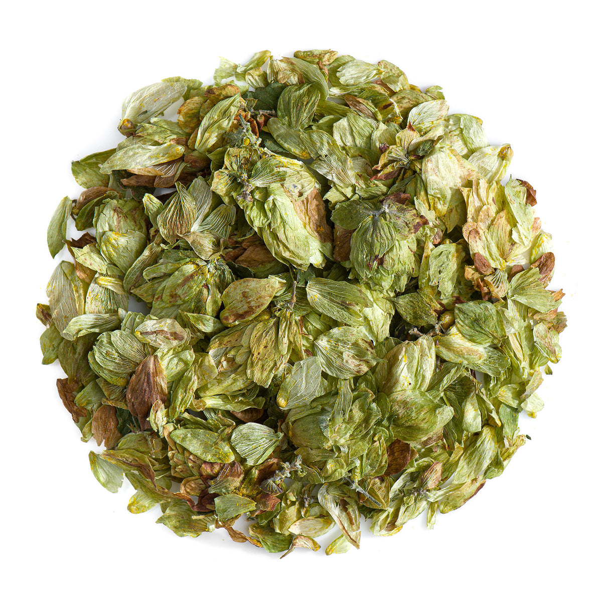 Whole Hop Cone 50g
