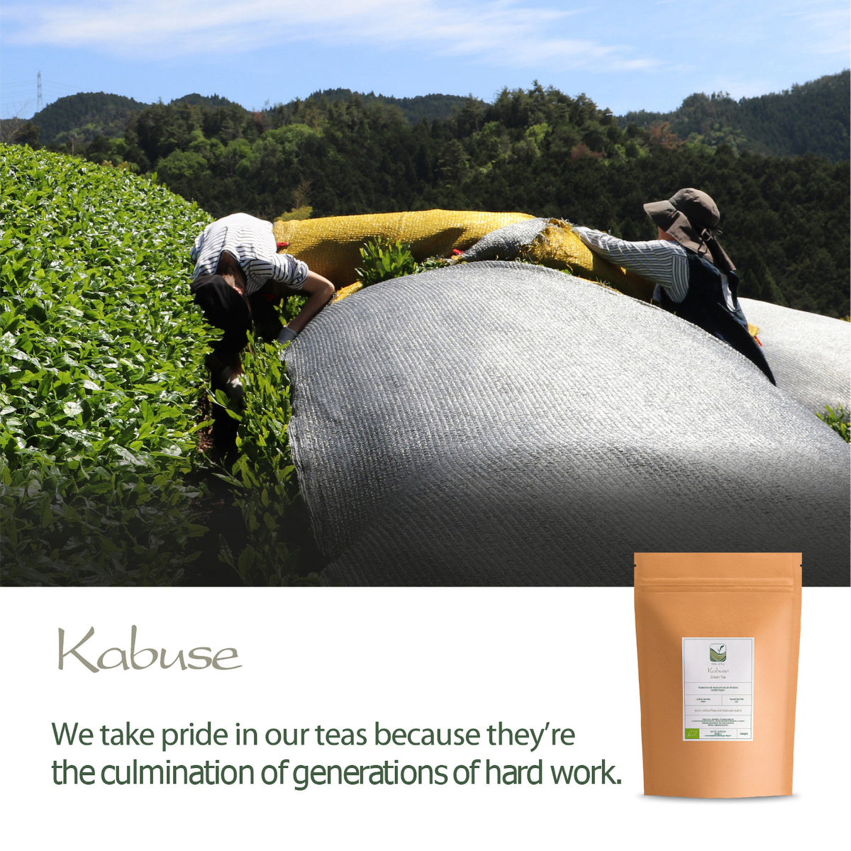 Kabuse 25g