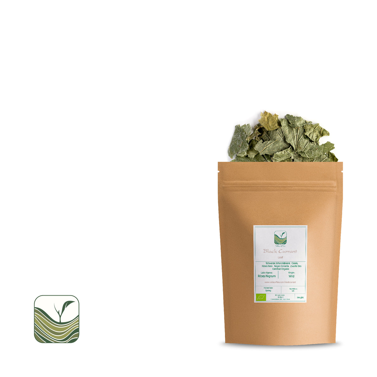 Black Currant 50g