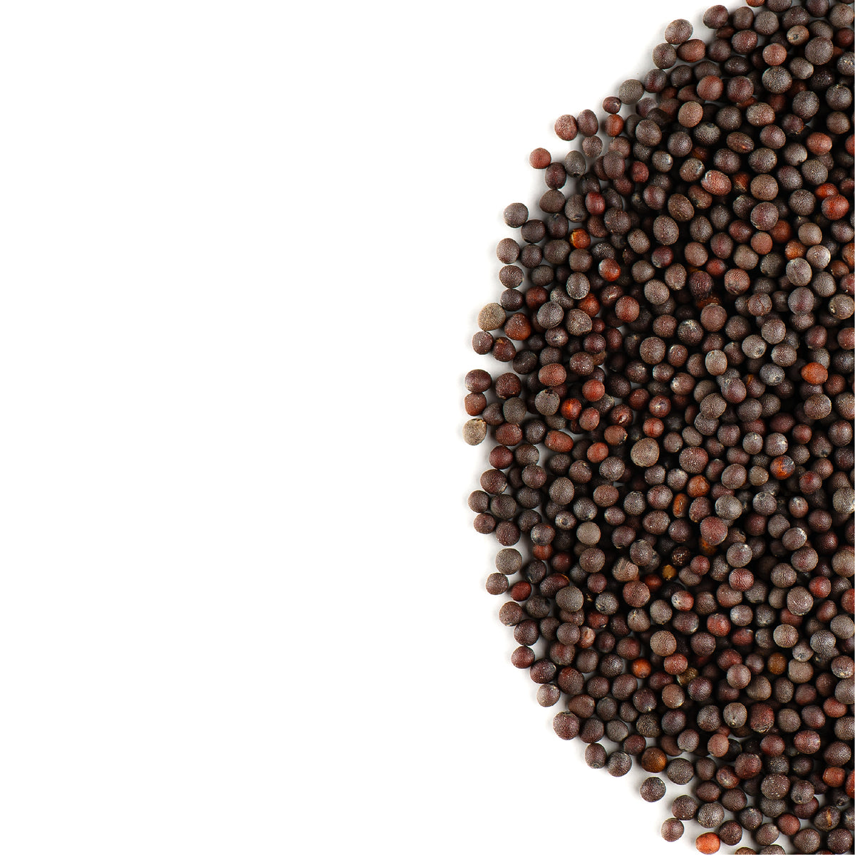 Black Mustard Seed 200g