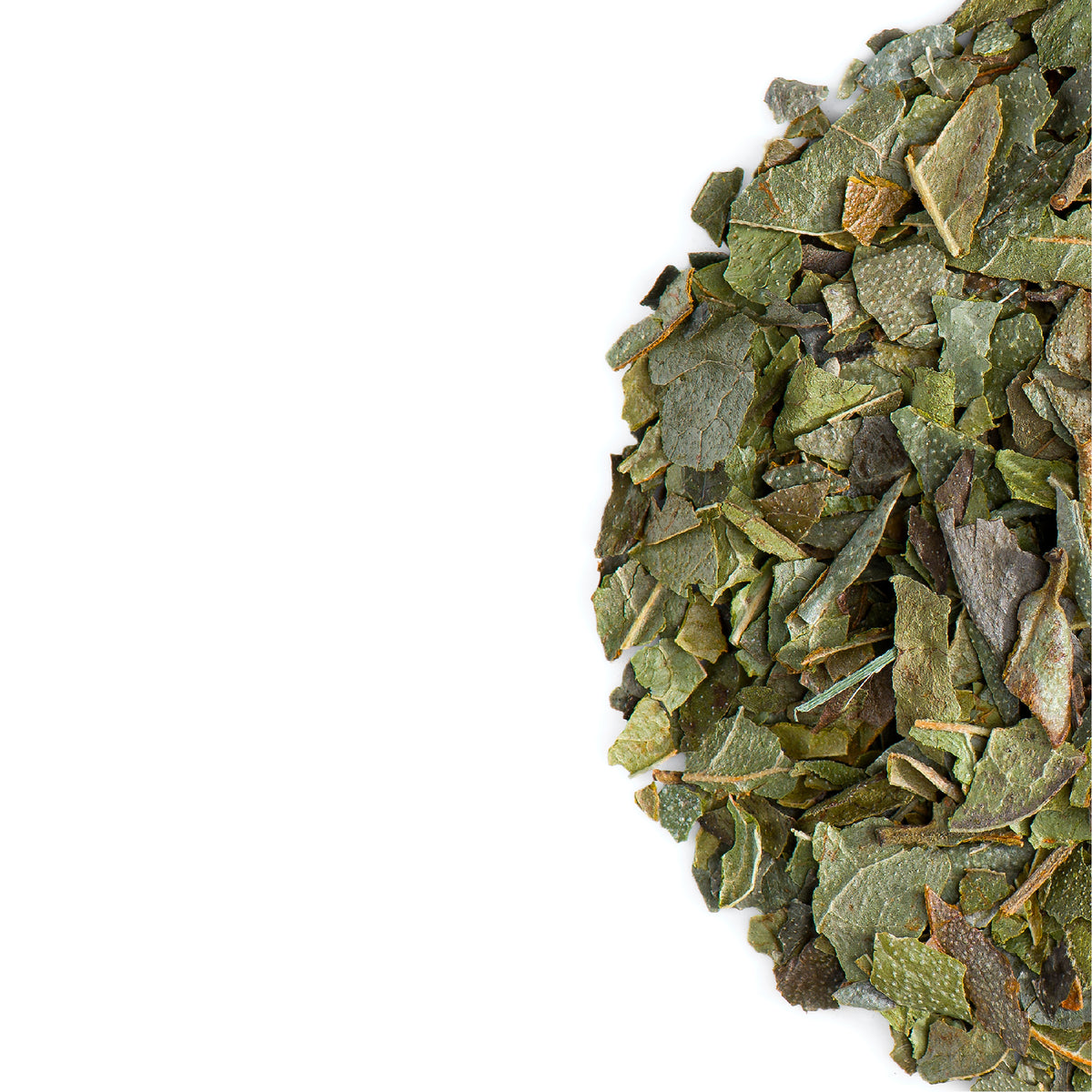 Boldo Leaf 100g