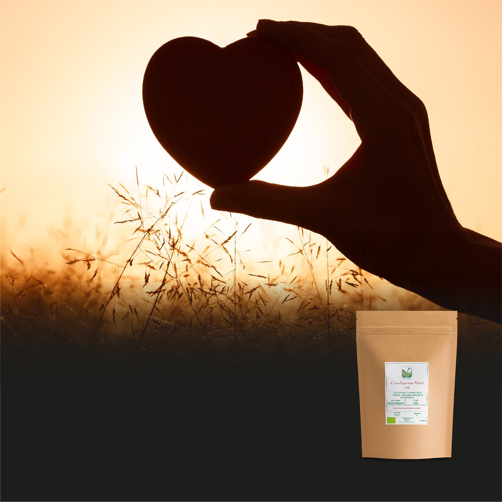 Couchgrass Root 100g
