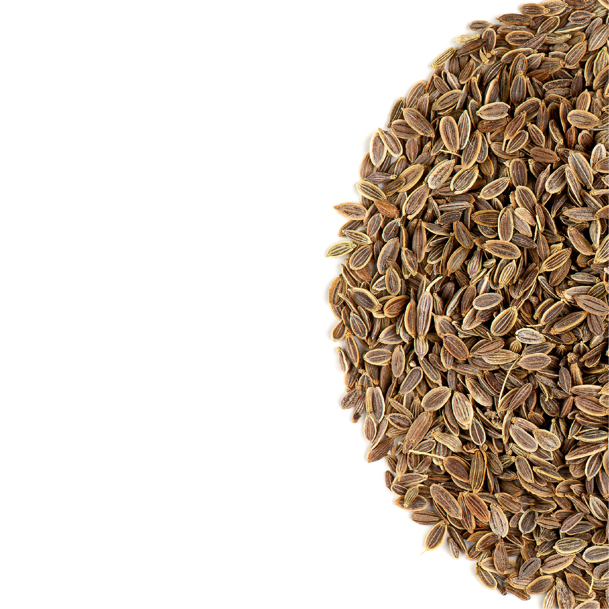 Dill Seed 200g