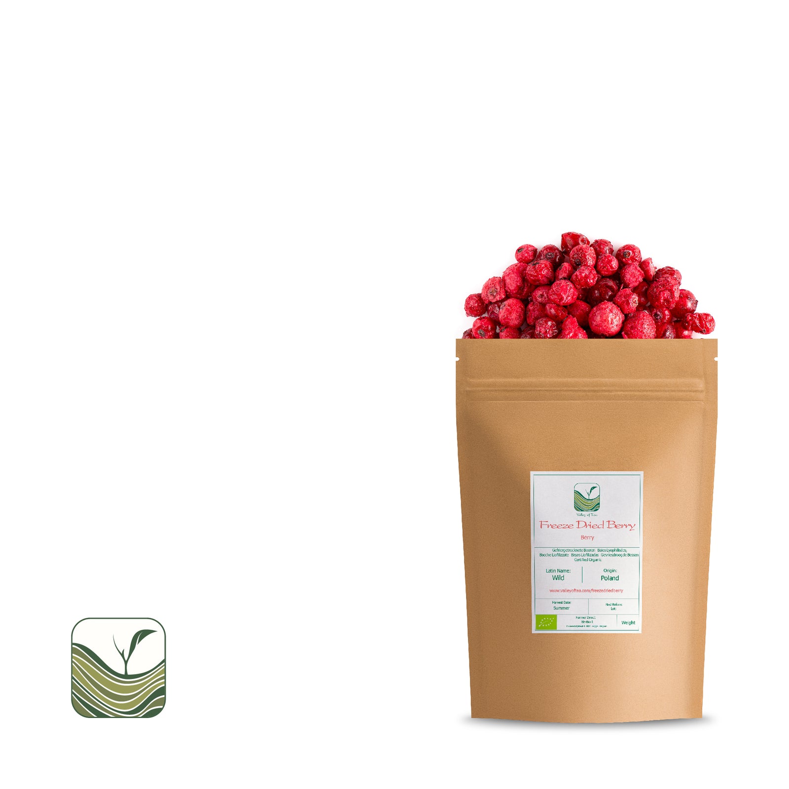 Freeze Dried Berry 50g