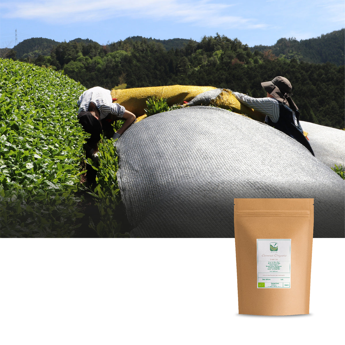 Genmai Organic 50g