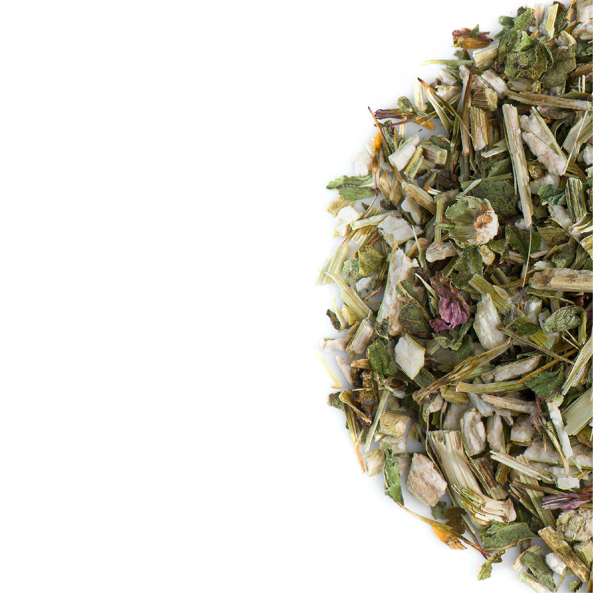 Purple Coneflower Leaf 100g