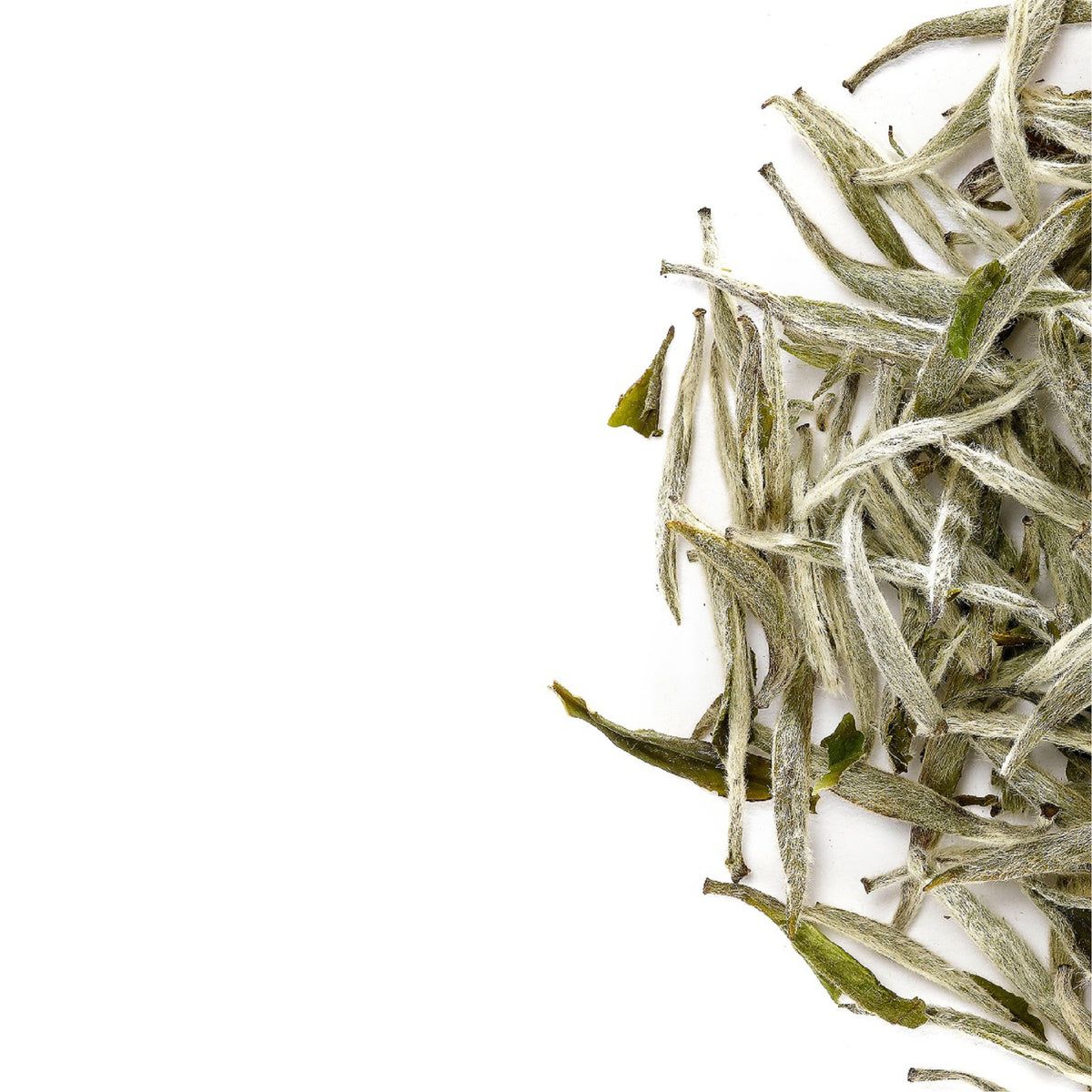 Silver Needle 40g