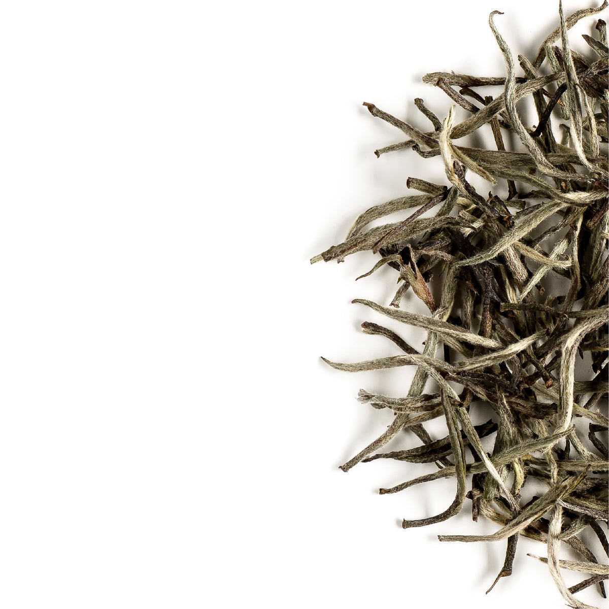 Silver Needle Pure 15g